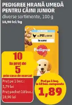 Penny Pedigree hrană umedă pentru câini junior Ofertă