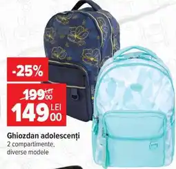 Carrefour Ghiozdan adolescenți Ofertă