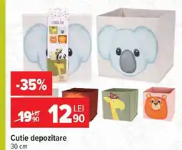 Carrefour Cutie depozitare Ofertă
