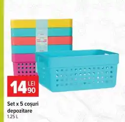 Carrefour Set x 5 coșuri depozitare Ofertă