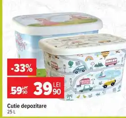 Carrefour Cutie depozitare Ofertă