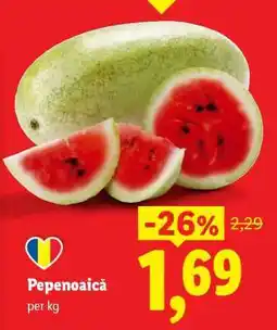 Lidl Pepenoaică Ofertă