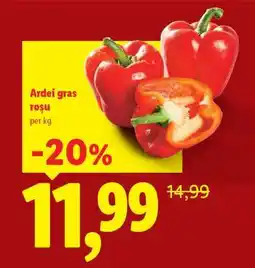 Lidl Ardei gras roșu Ofertă
