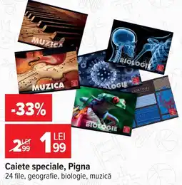 Carrefour Caiete speciale, Pigna Ofertă