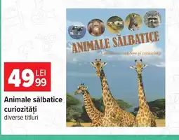 Carrefour Aquila animale sălbatice Ofertă