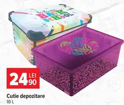 Carrefour Cutie depozitare Ofertă