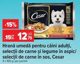 Carrefour Hrană umedă pentru câini adulți Ofertă
