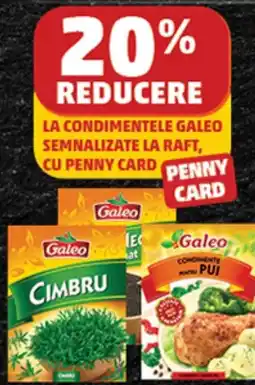 Penny Galeo condimente Ofertă