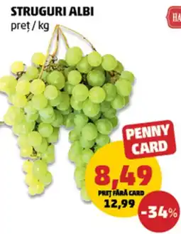 Penny Struguri albi Ofertă