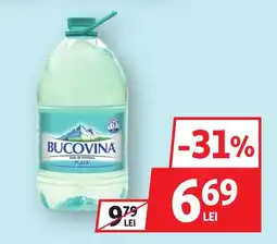 Auchan Bucovina Plată Ofertă