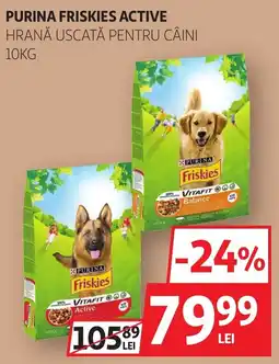 Auchan Purina friskies active Ofertă