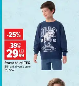 Carrefour Sweat băieți TEX Ofertă