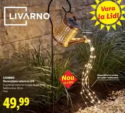 Lidl Livarno decoratiune solară cu led Ofertă