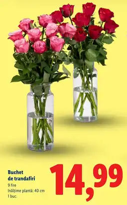 Lidl Buchet de trandafiri Ofertă