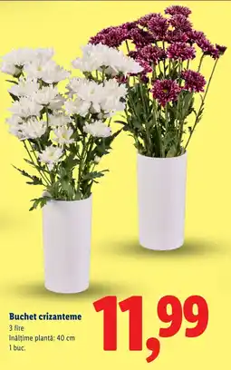 Lidl Buchet crizanteme Ofertă