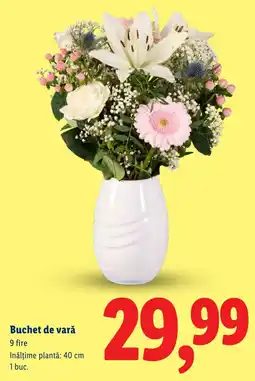 Lidl Buchet de vară Ofertă