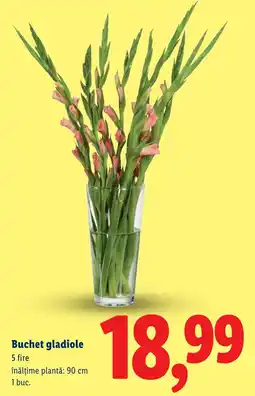 Lidl Buchet gladiole Ofertă