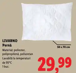 Lidl Livarno Pernă Ofertă