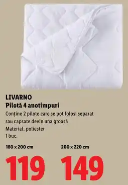 Lidl Livarno Pilotă 4 anotimpuri Ofertă