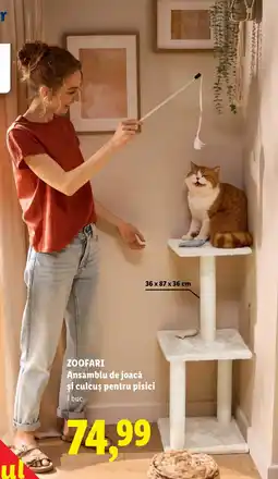 Lidl Zoofari ansamblu de joacă și culcuș pentru pisici Ofertă