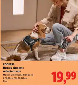Lidl Zoofari ham cu elemente reflectorizante Ofertă