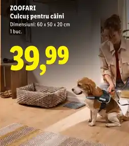 Lidl Zoofari culcuș pentru câini Ofertă