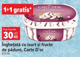 Carrefour Market Carte D'or inghețată cu iaurt și fructe de pădure Ofertă