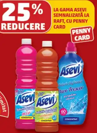 Penny Asevi Ofertă