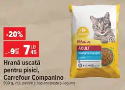 Carrefour Market Carrefour Companino Hrană uscată pentru pisici Ofertă