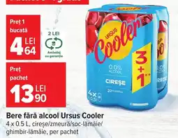 Carrefour Market Ursus Cooler Ofertă