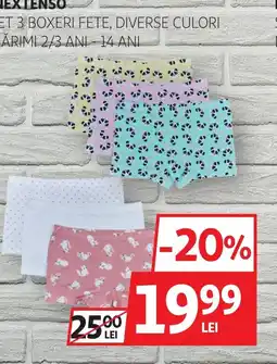 Auchan Extenso boxeri fete Ofertă