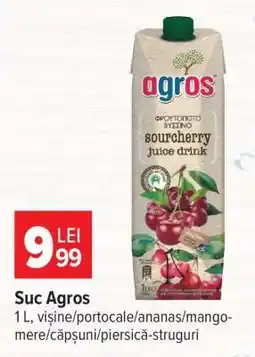 Carrefour Suc Agros Ofertă