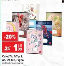 Carrefour Caiet Tip 1/Tip 2, A5, 24 file, Pigna Ofertă
