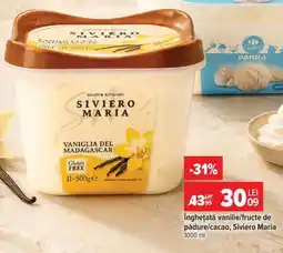 Carrefour Înghețată vanilie/fructe de pădure/cacao, Siviero Maria Ofertă