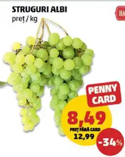 Penny Struguri albi Ofertă