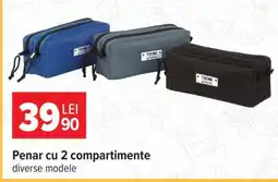 Carrefour Penar cu 2 compartimente Ofertă