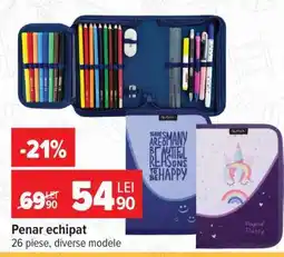Carrefour Penar echipat Ofertă