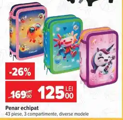 Carrefour Penar echipat Ofertă