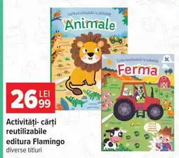 Carrefour Activități - cărți reutilizabile Ofertă
