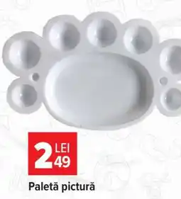 Carrefour Paletă pictură Ofertă