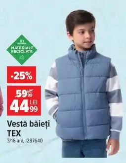 Carrefour Vesta băieți TEX Ofertă
