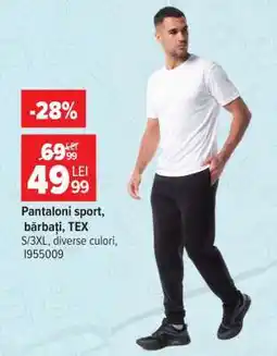 Carrefour Pantaloni sport bărbați TEX Ofertă