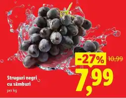 Lidl Struguri negri cu sâmburi Ofertă