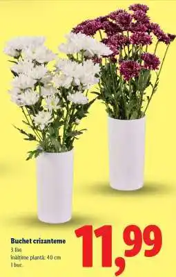 Lidl Buchet crizanteme Ofertă