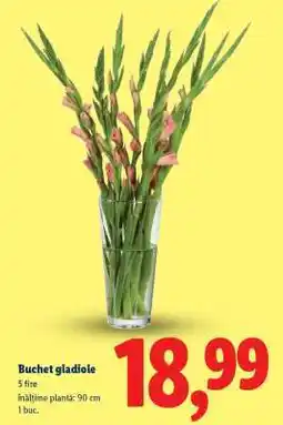 Lidl Buchet gladiole Ofertă