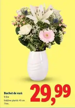 Lidl Buchet de vară Ofertă