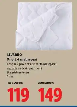 Lidl LIVARNO Pilotă 4 anotimpuri Ofertă