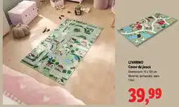 Lidl Livarno Covor de joacă Ofertă