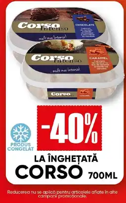 PROFI Corso inghetata Ofertă