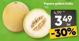 PROFI Pepene galben Galia Ofertă